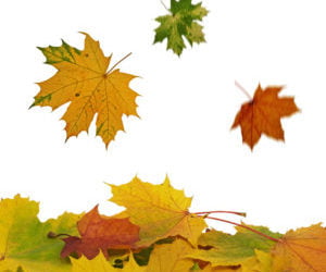 Say no to dry skin this Winter by taking care of it this Fall!