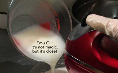 My Love of Emu Oil Started on Martha’s Vineyard