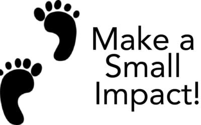 Having a Smaller Footprint on Mother Earth Despite Growing our Business