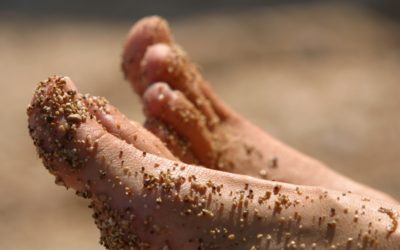 Summer Skin Care. How Different Should it Be?